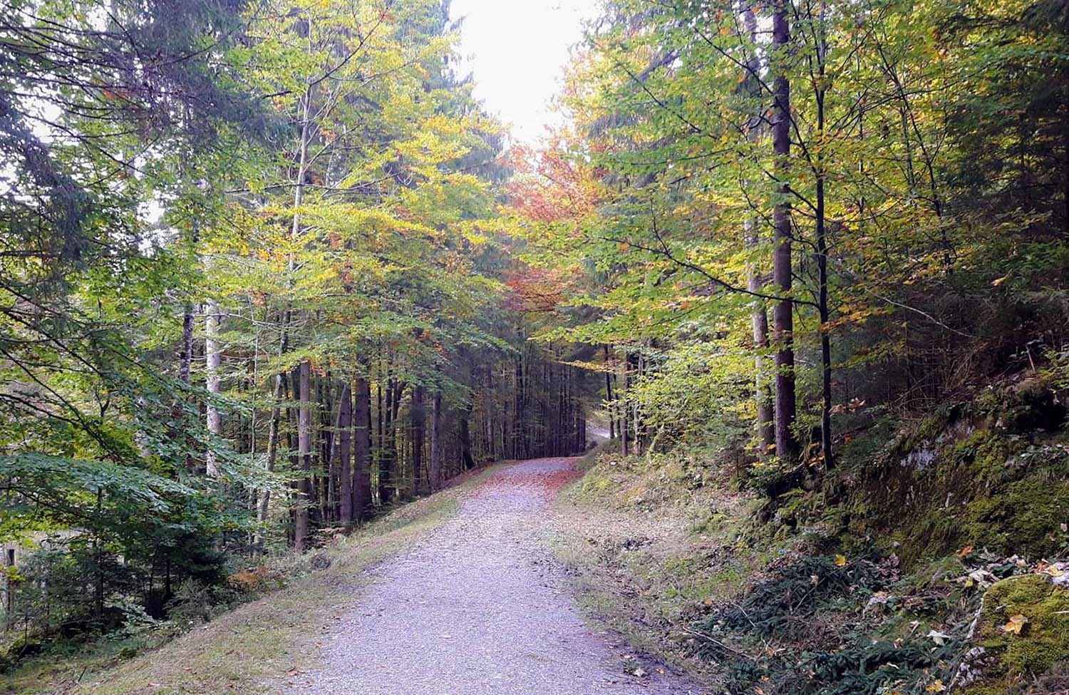 Wandern zur Burguine Werdenfels