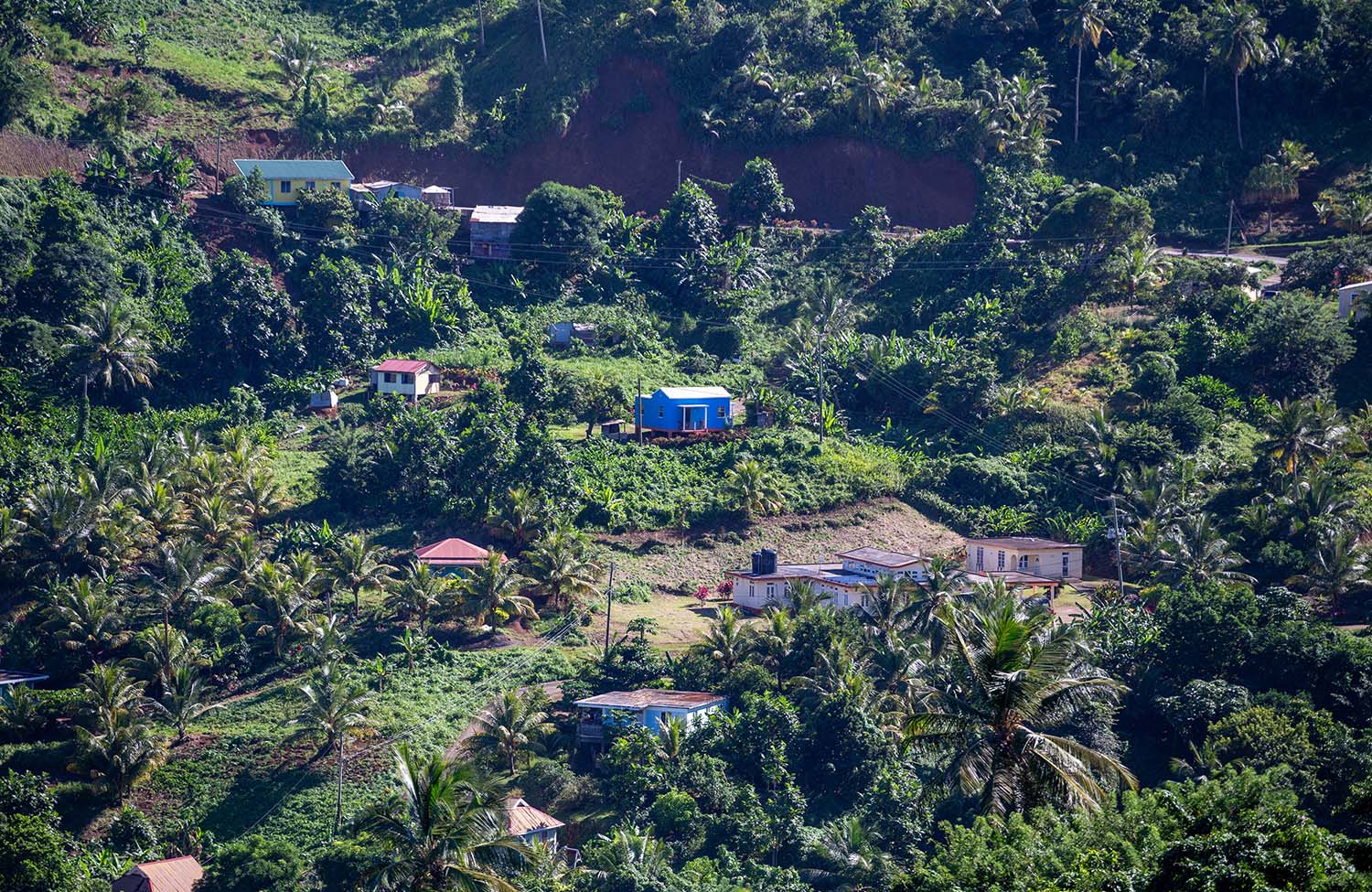 Landschaft von Dominica