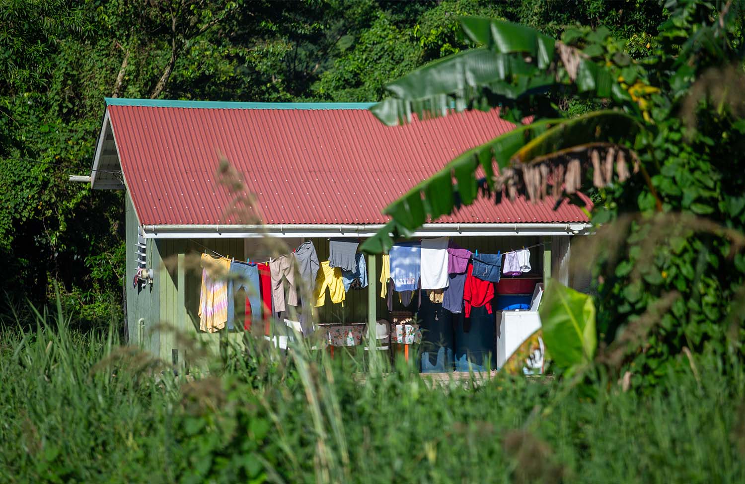 Dominica in der Karibik