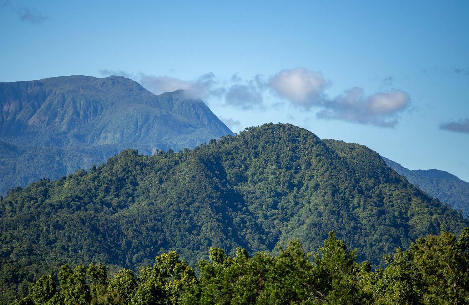 Morne Trois Pitons Nationalpark