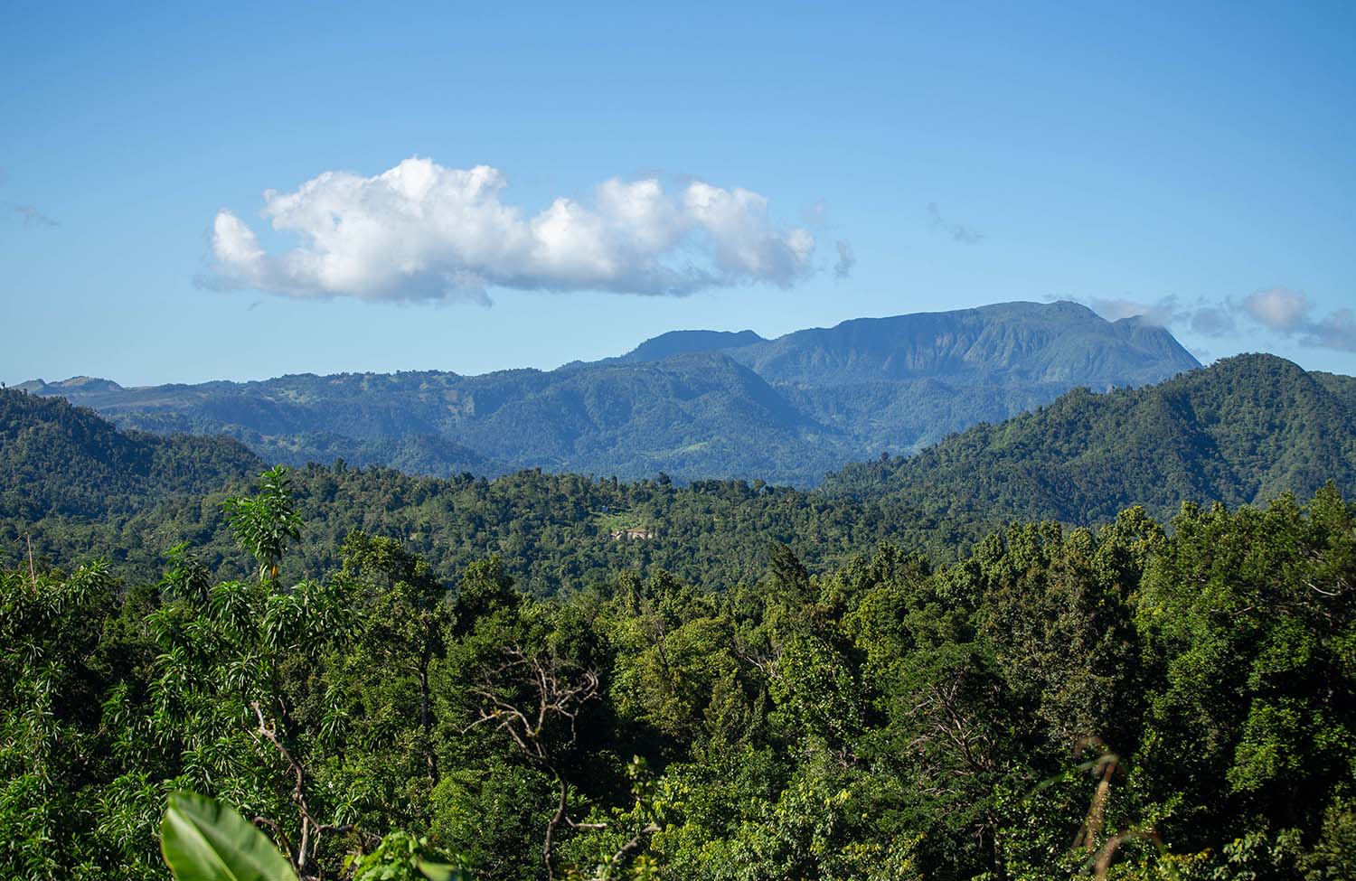 Morne Trois Pitons Nationalpark