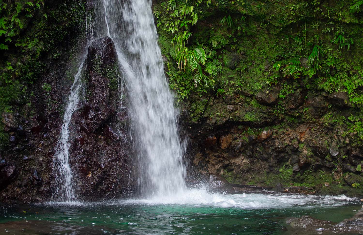 Emerald Pool Dominica