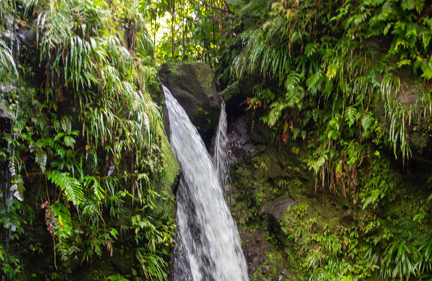 Emerald Pool Dominica