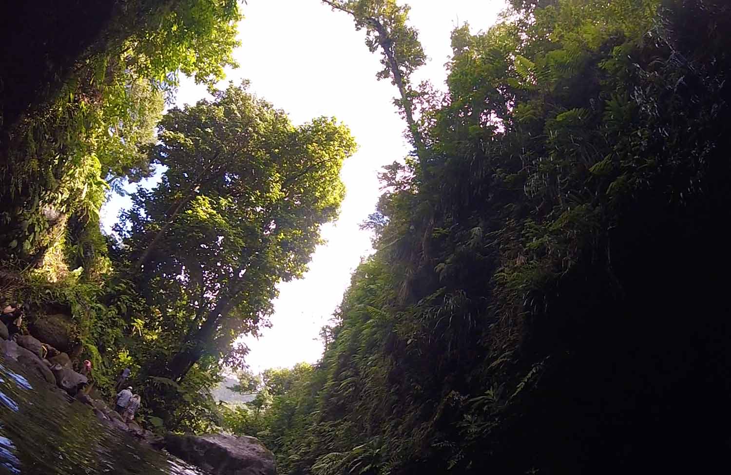 Emerald Pool Dominica