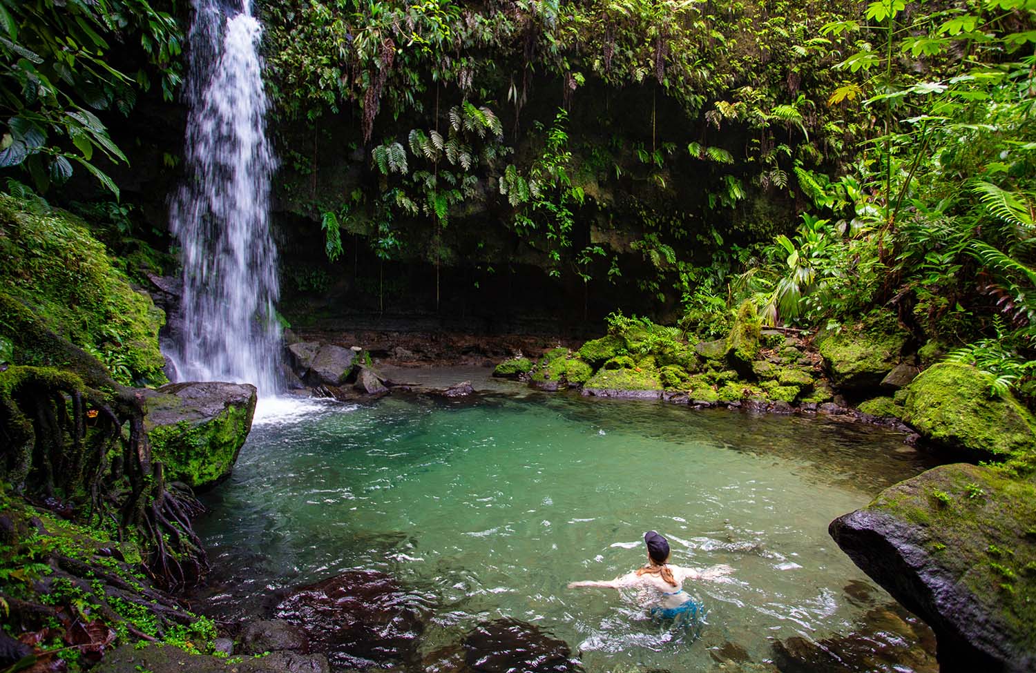 Wasserfall Dominica