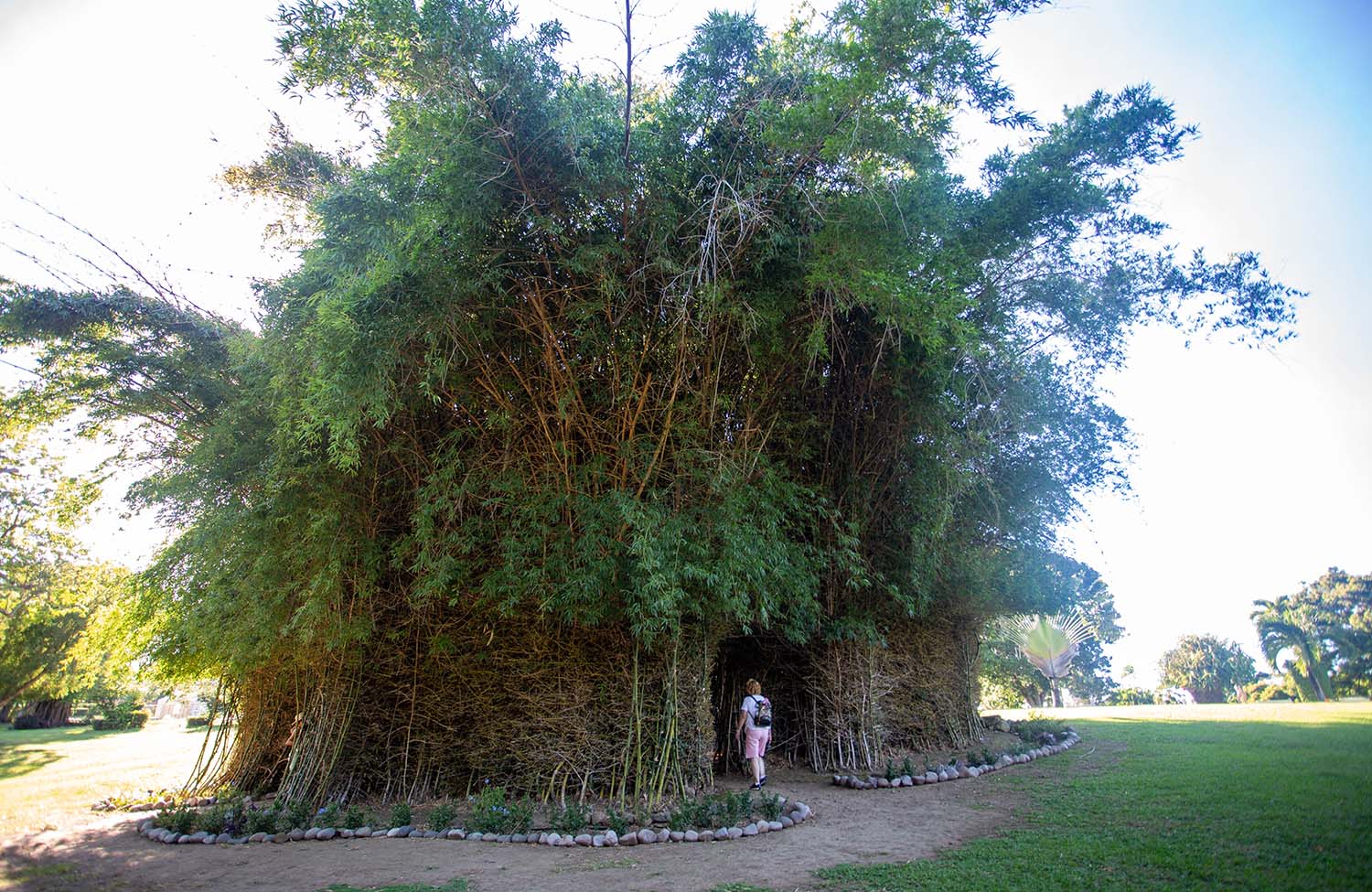 Botanischer Garten