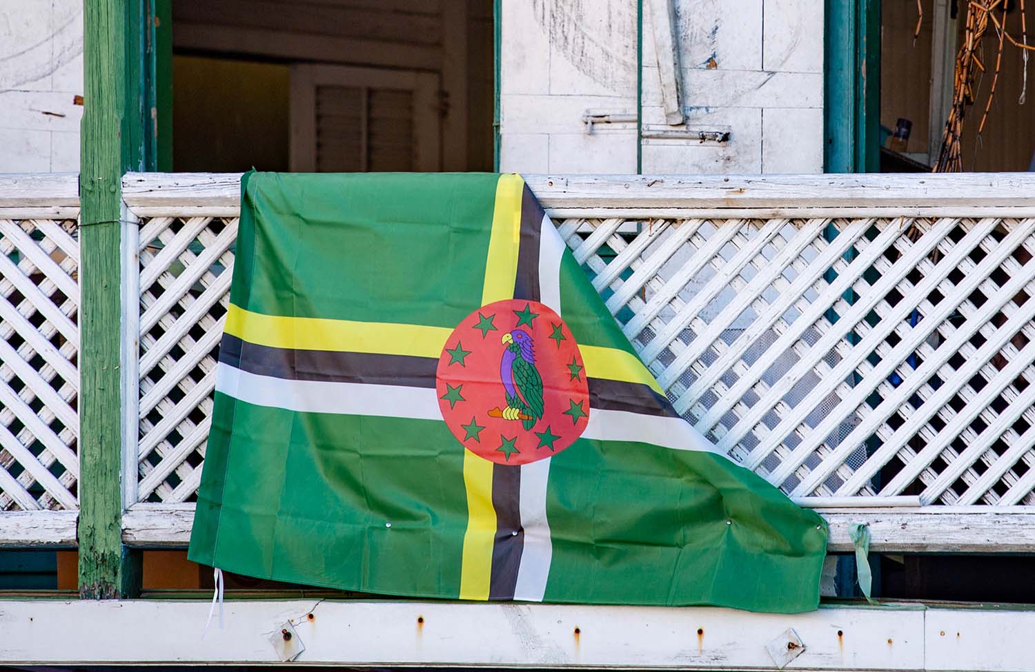 Flagge Dominica Amazona arausiaca