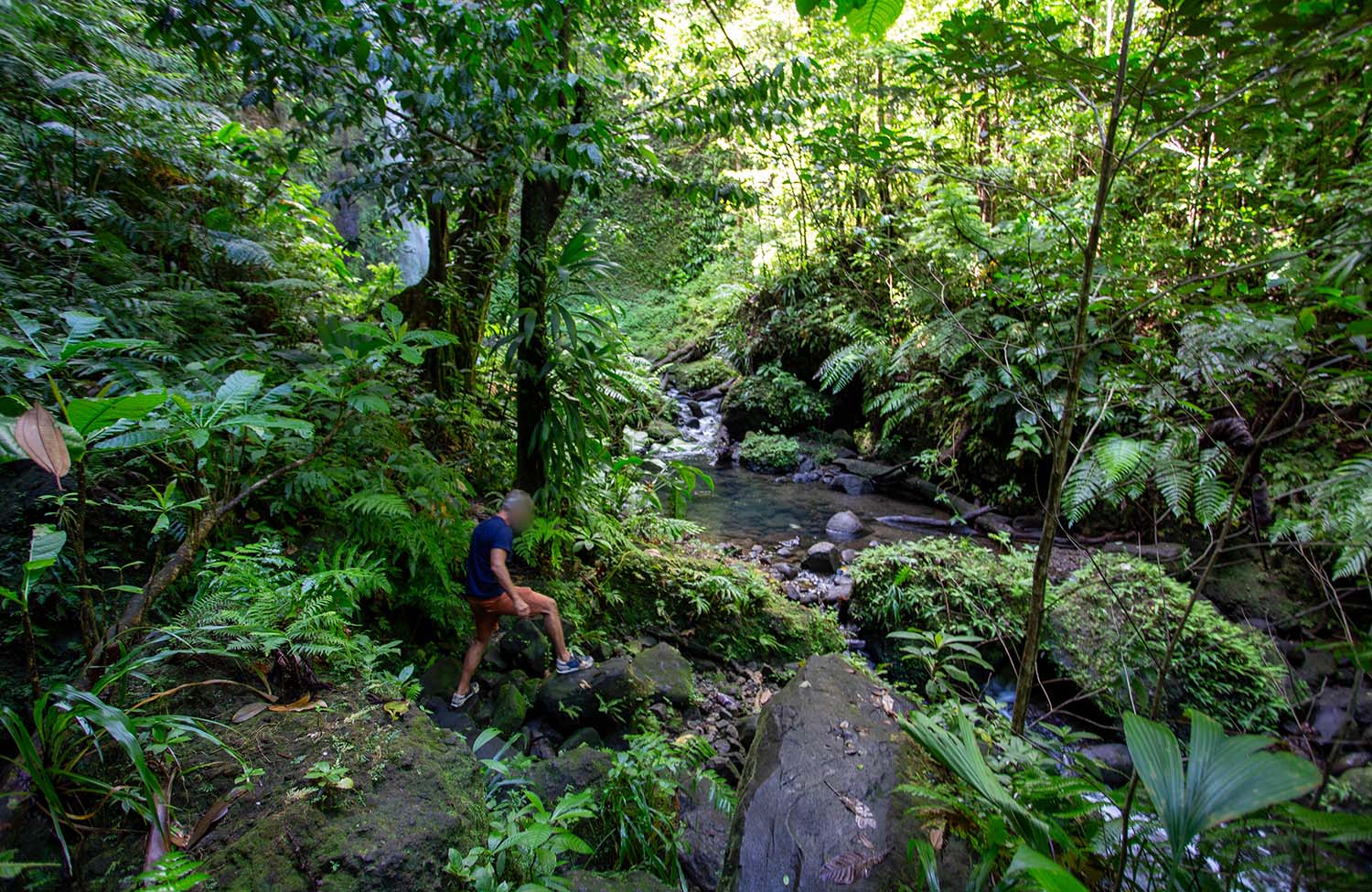 Spanny Falls