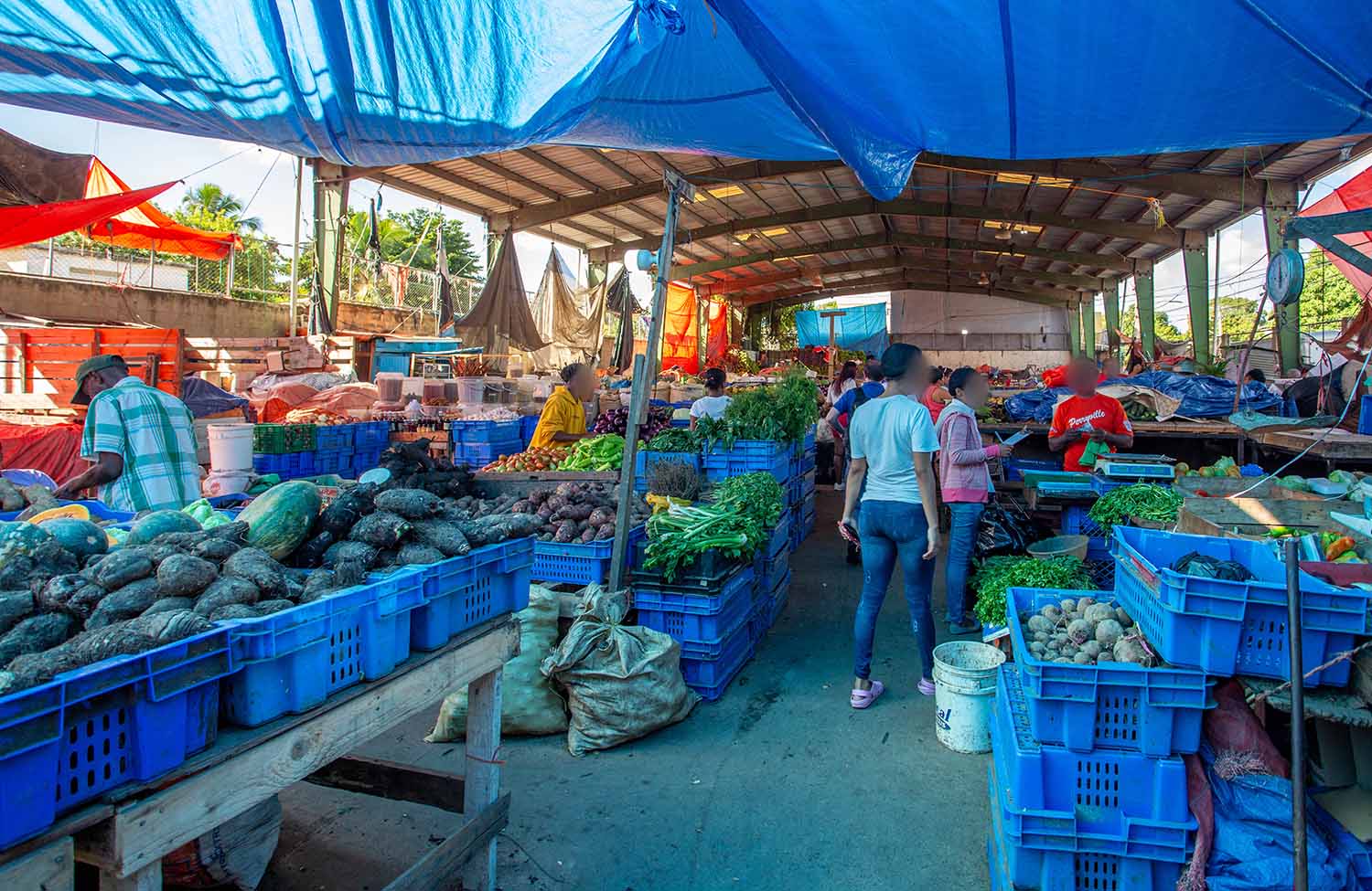 Markt in San Pedro, Dominikanische Republik