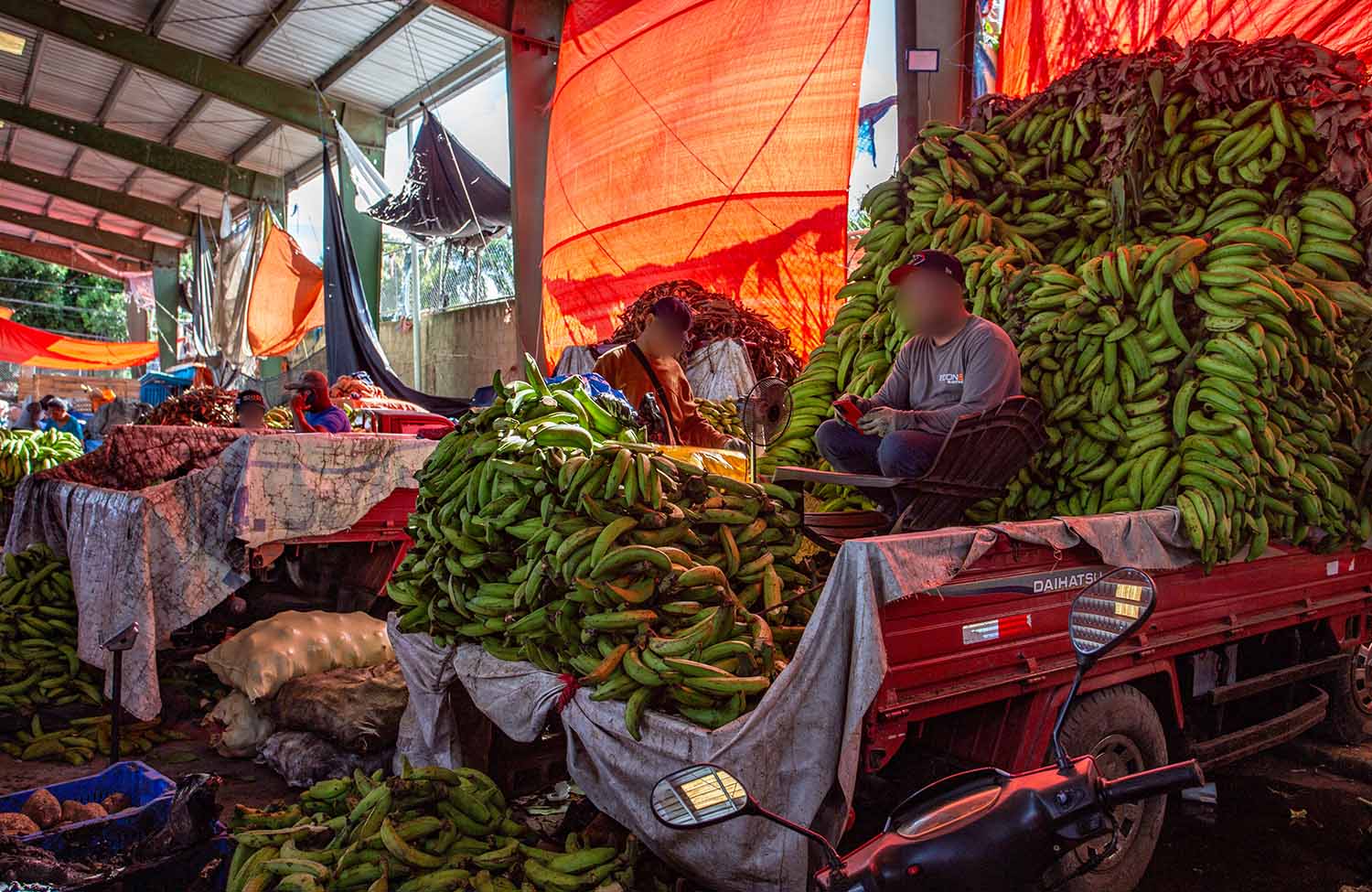 Markt in San Pedro, Dominikanische Republik, Kochbananen