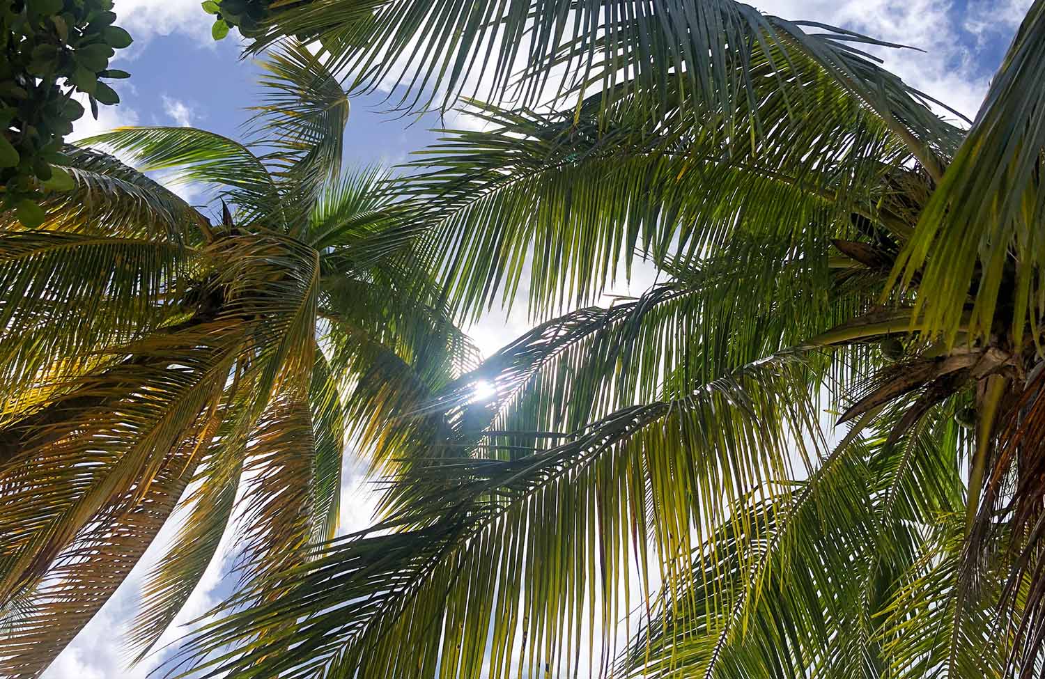 Stadtstrand von Sainte-Anne (Martinique)