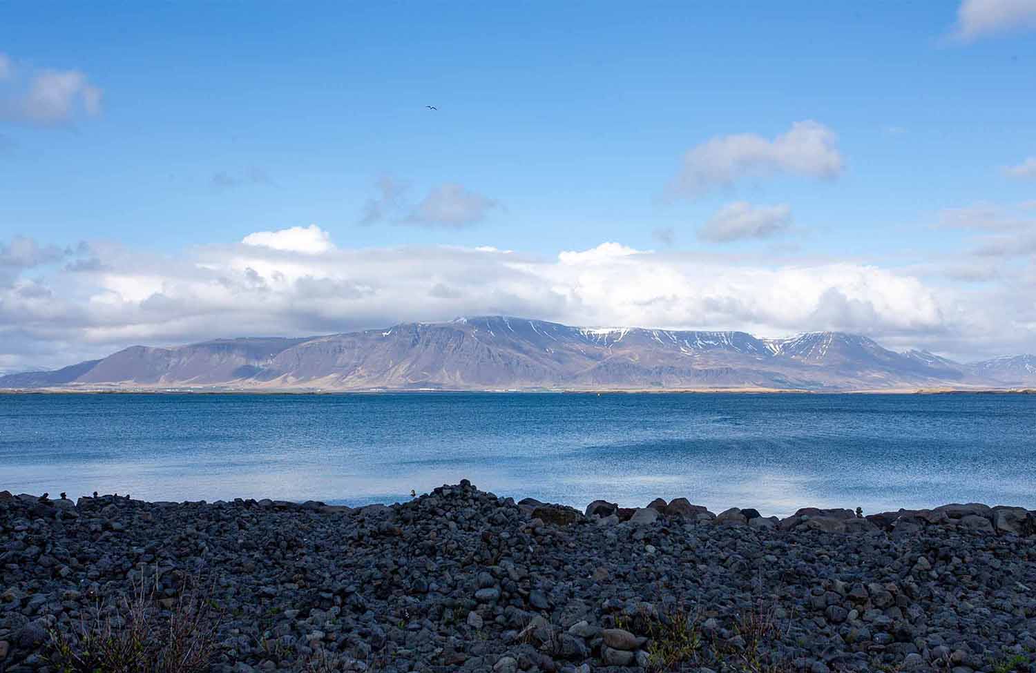 Reykjavík Atlantik