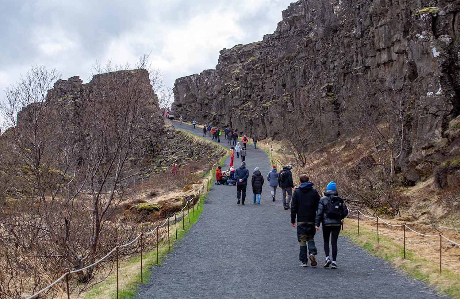 Wandern im Thingvellir Nationalpark