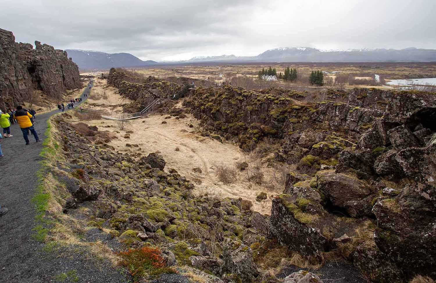 Wandern im Thingvellir Nationalpark