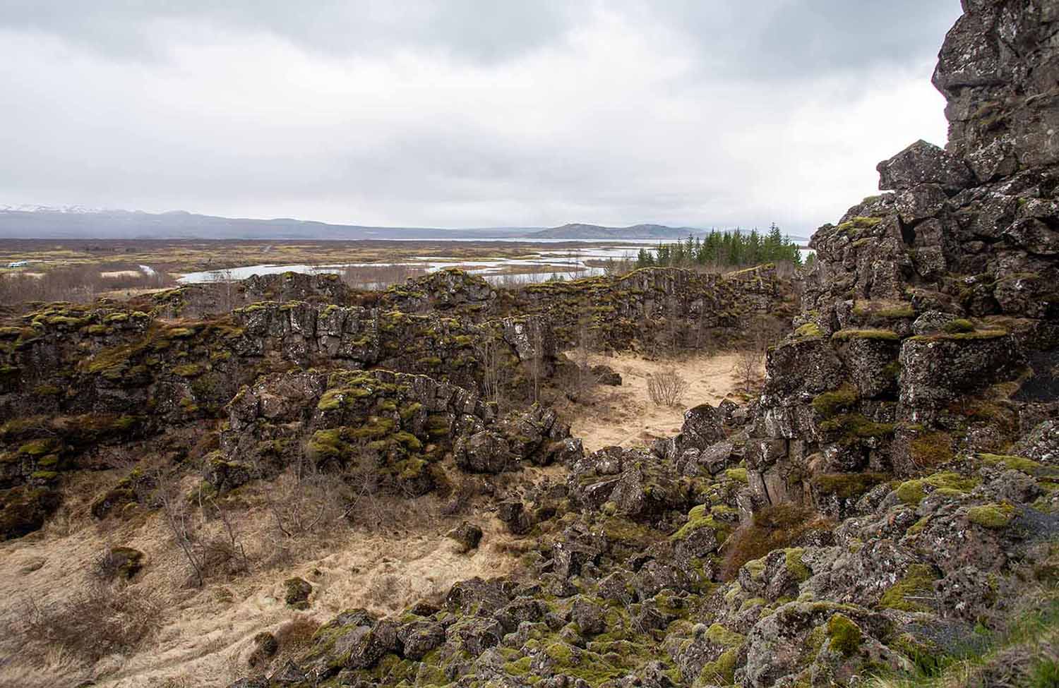 Wandern im Thingvellir Nationalpark