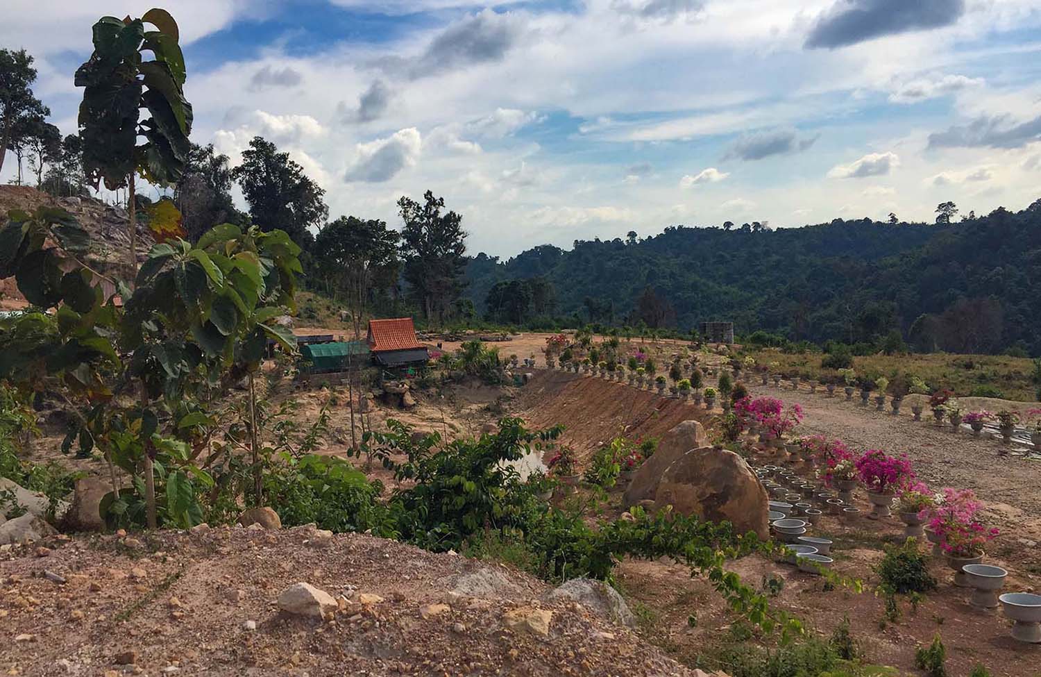 Garten in Laos