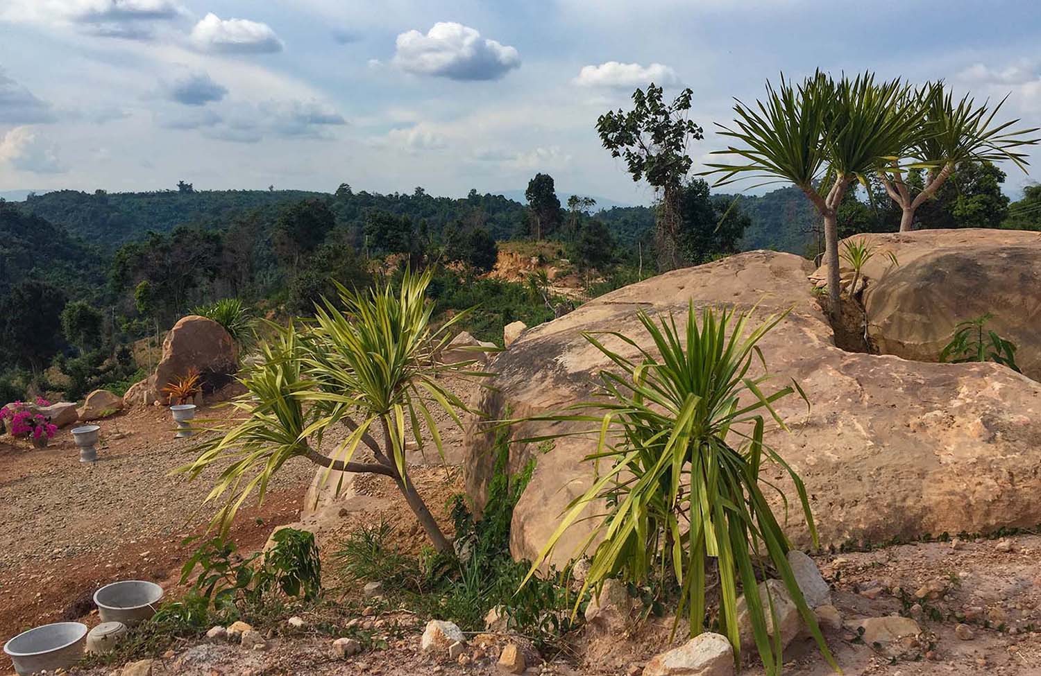 Garten in Laos