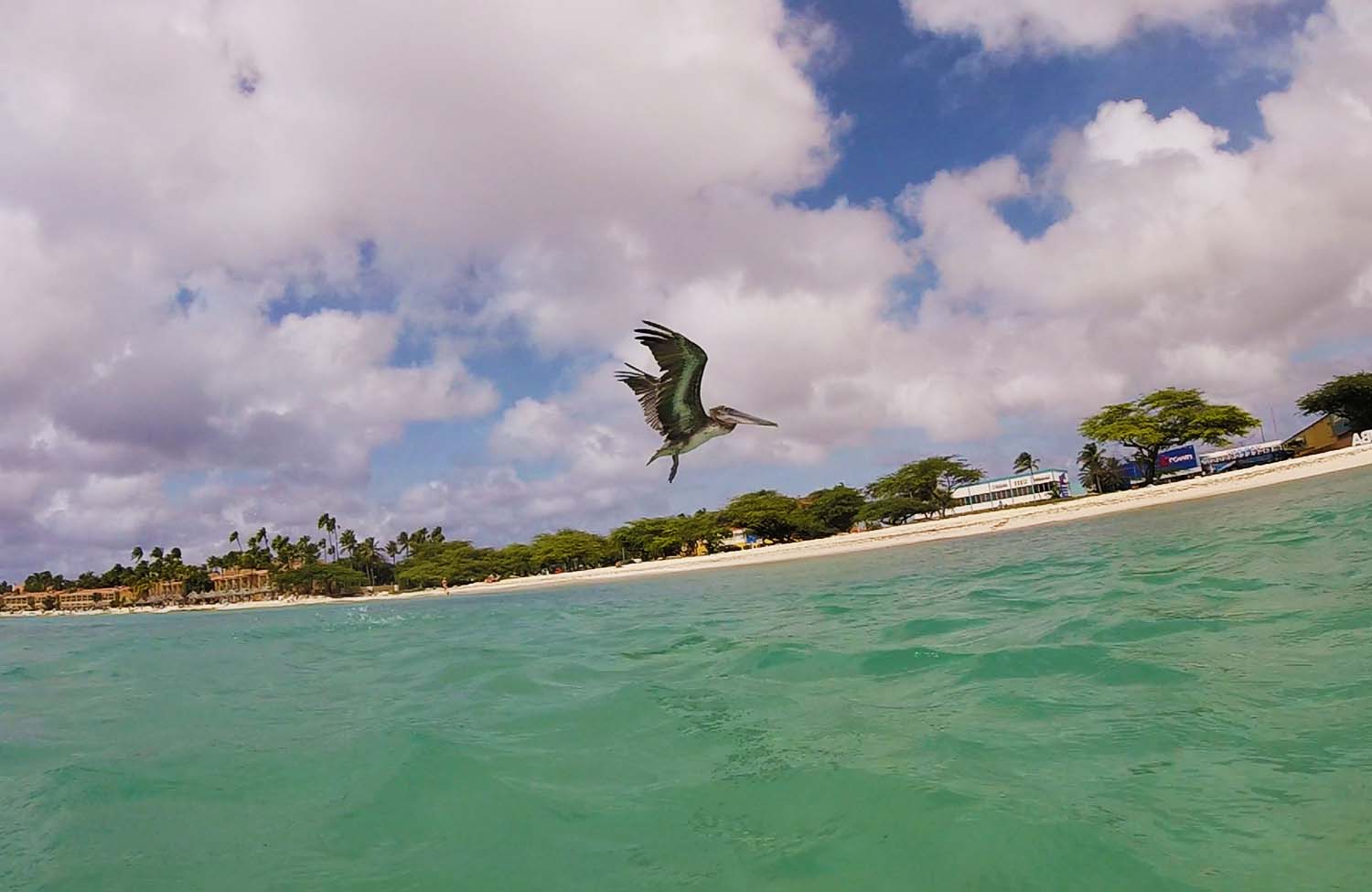 Kostenloser Strand Oranjestad