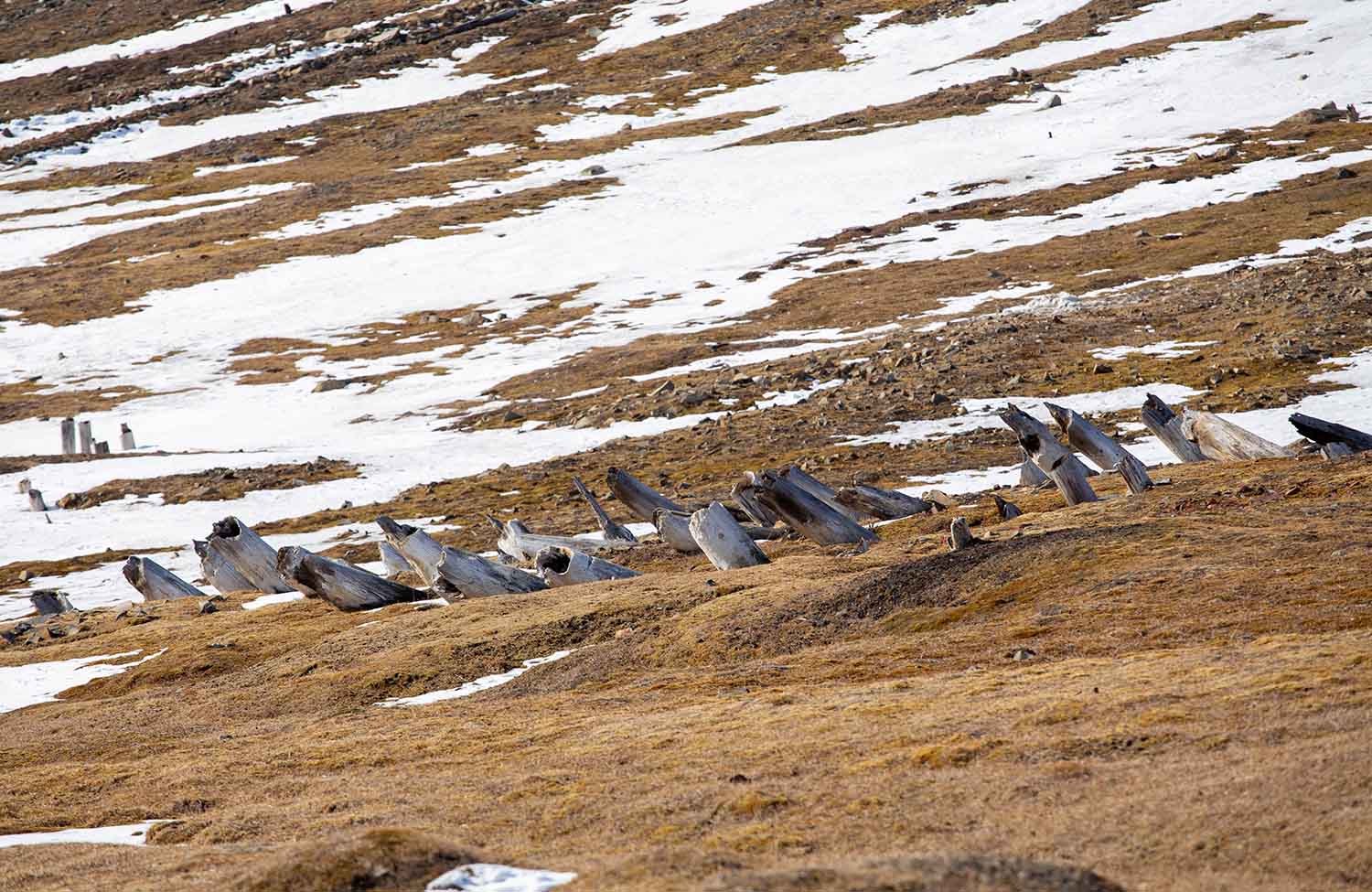 Longyearbyen