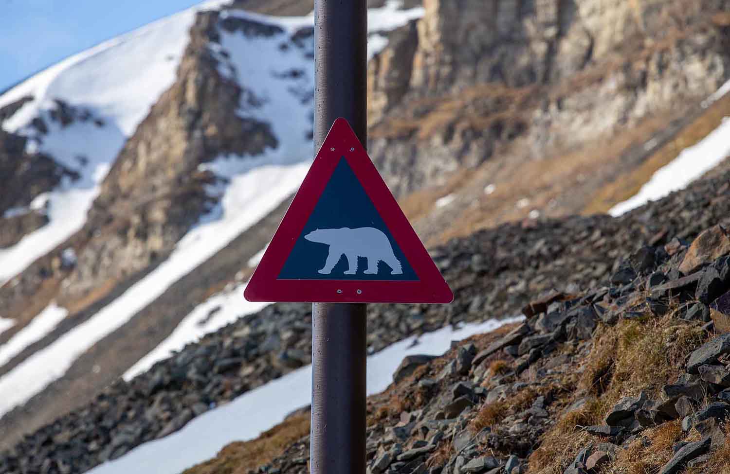 Eisbären Warnschild