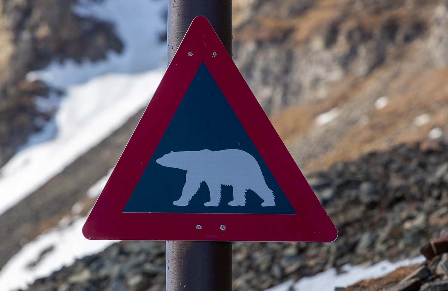 Eisbären-Warnschild in Longyearbyen