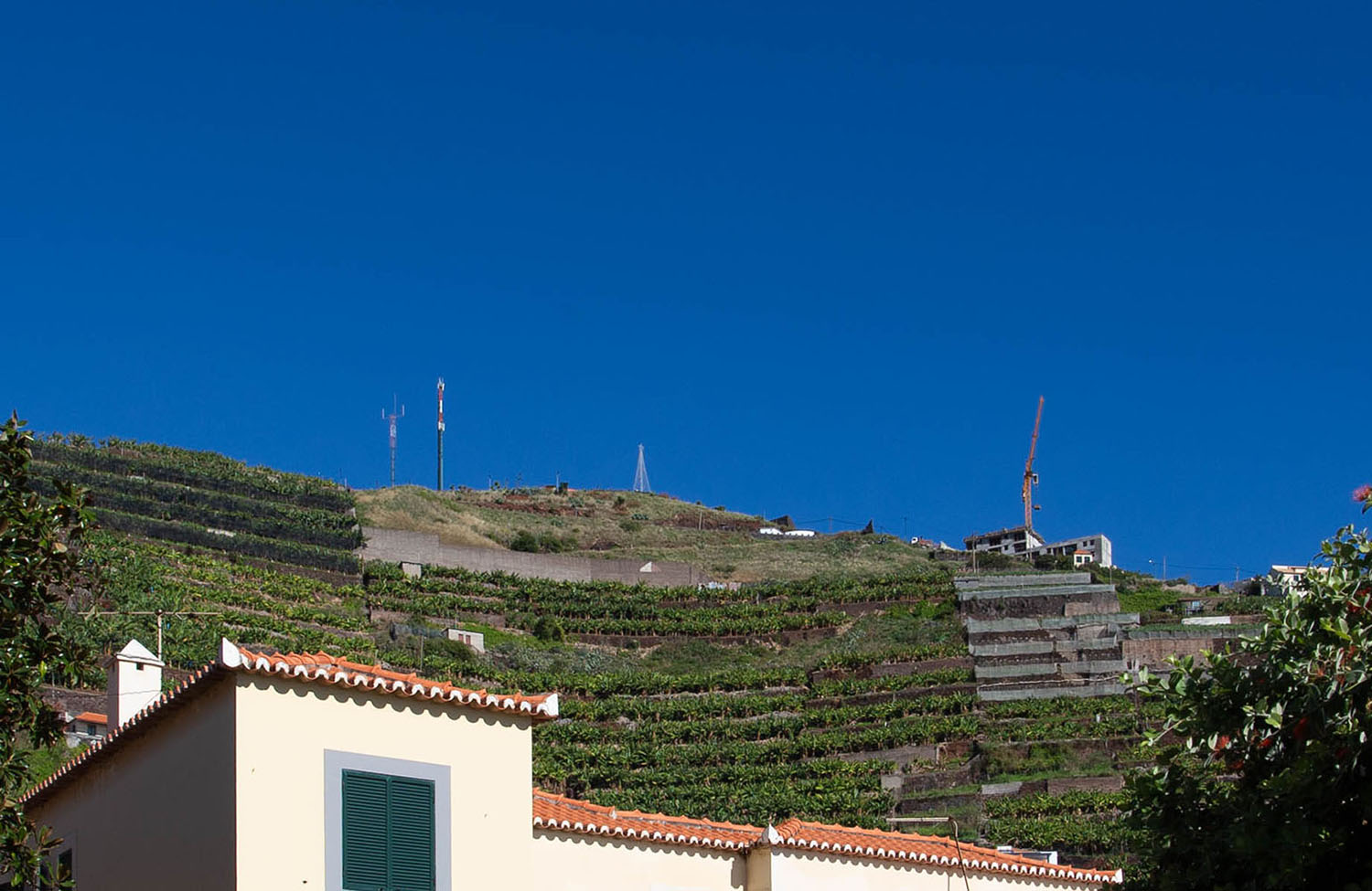 Aussichtspunkt in Câmara de Lobos