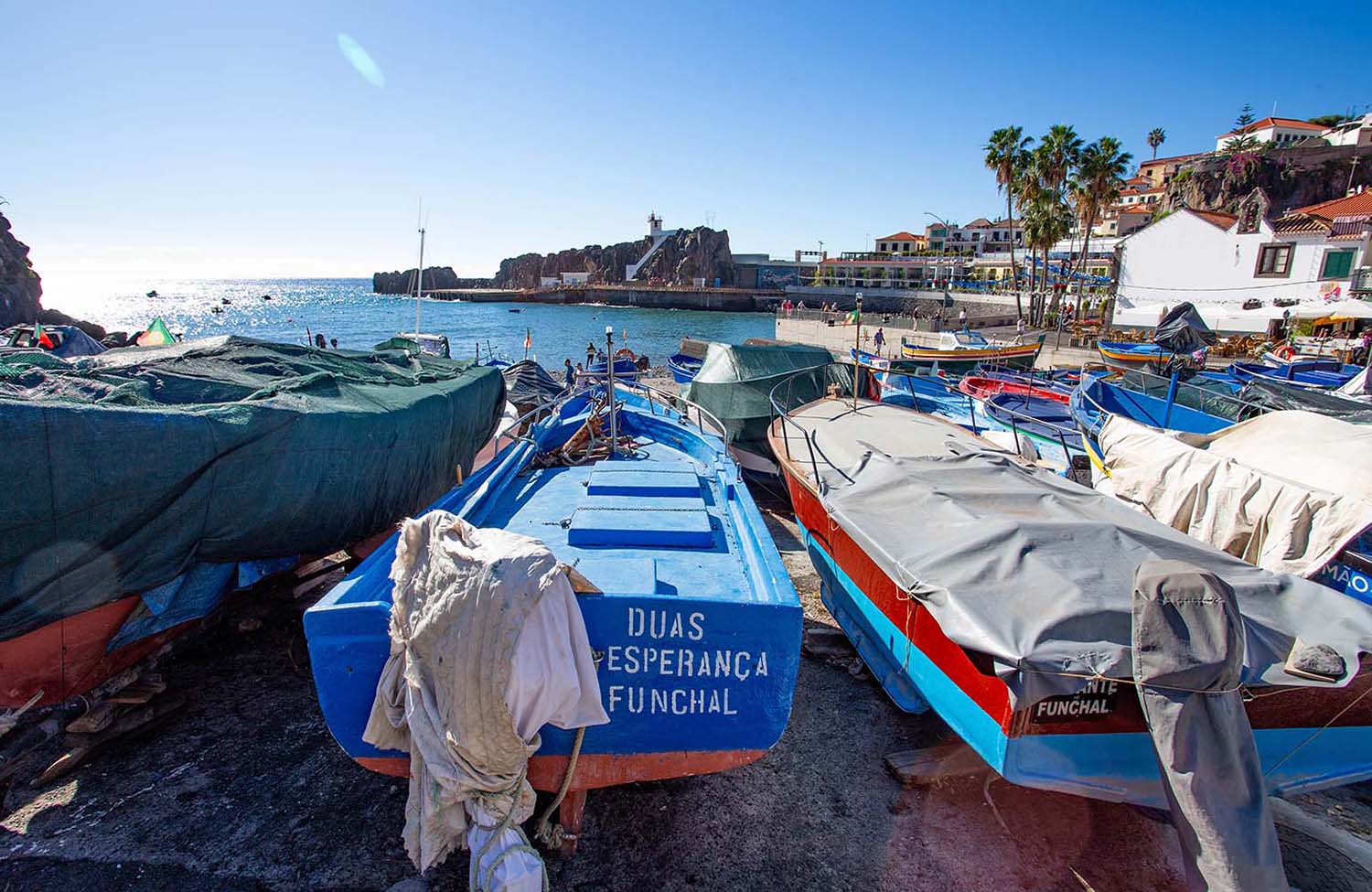 Câmara de Lobos Fischerboote