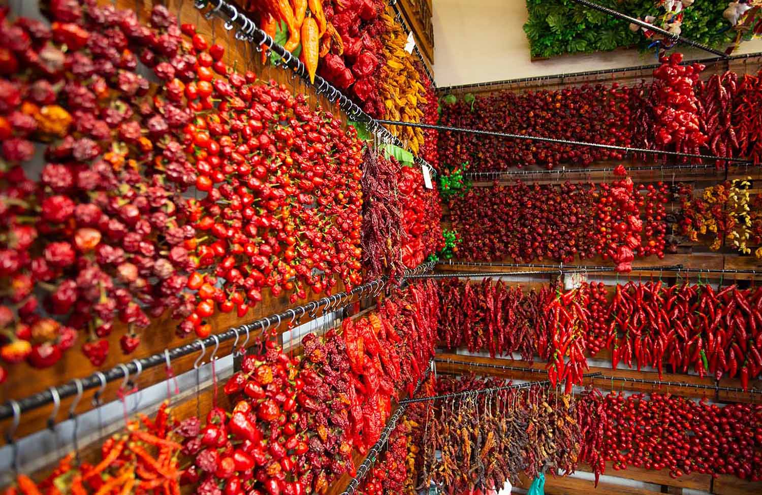 Mercado dos Lawradores Chili