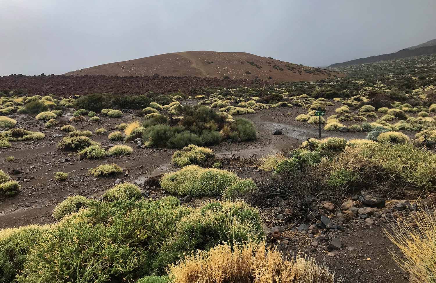 Teide Nationalpark