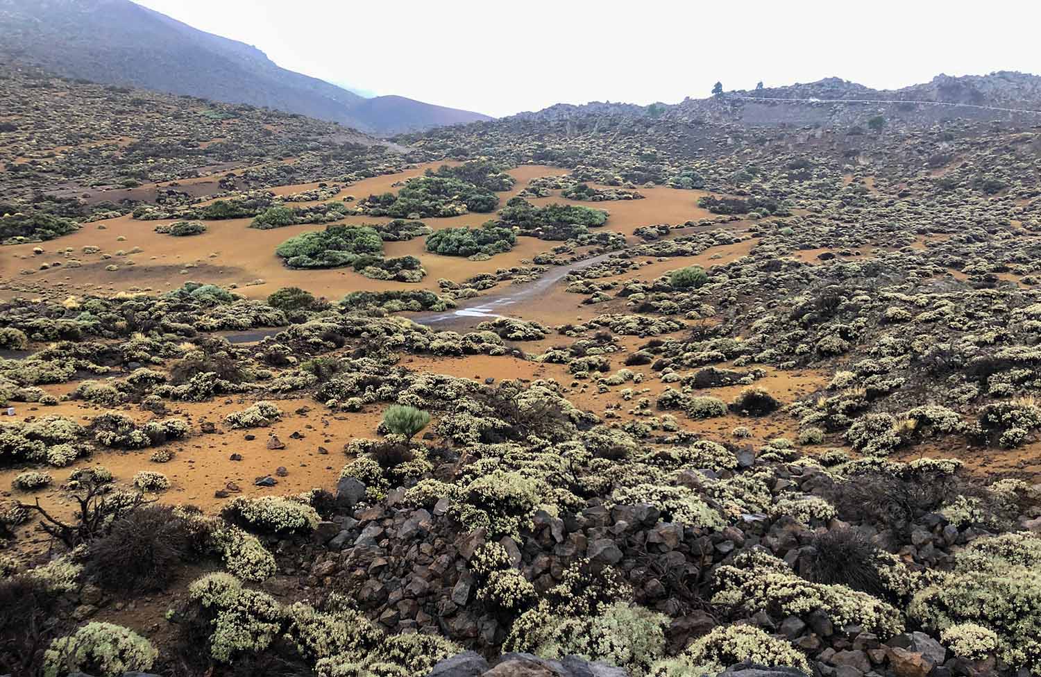 Teide Nationalpark