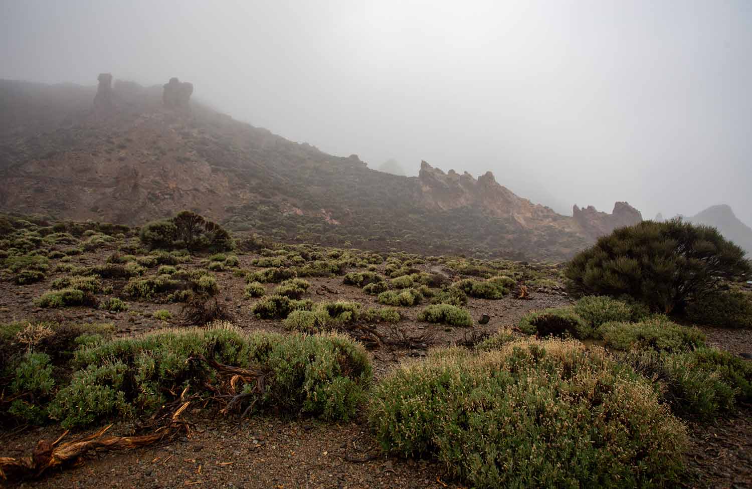 Teide Nationalpark