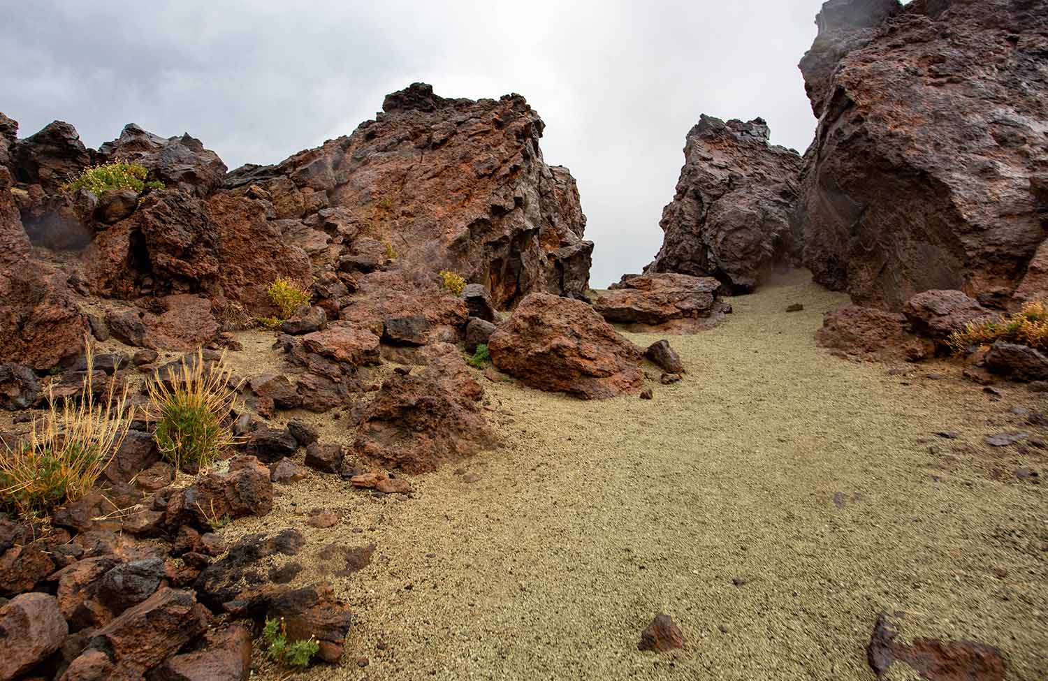 Teide Nationalpark