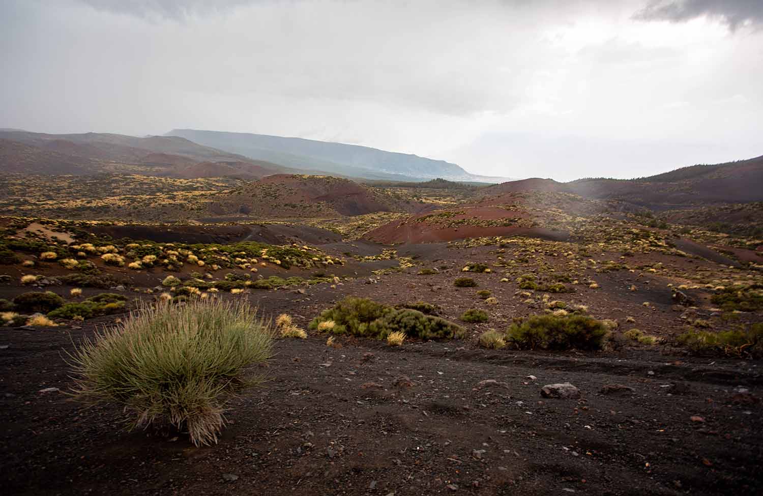 Teide Nationalpark