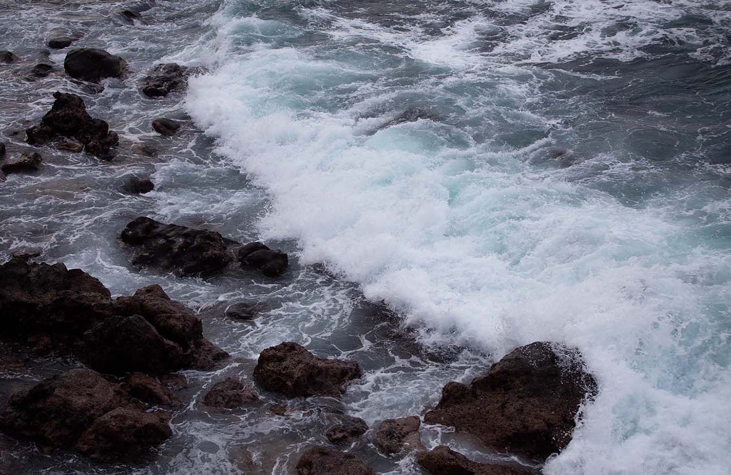 Meer und Krabben in Puerto de la Cruz