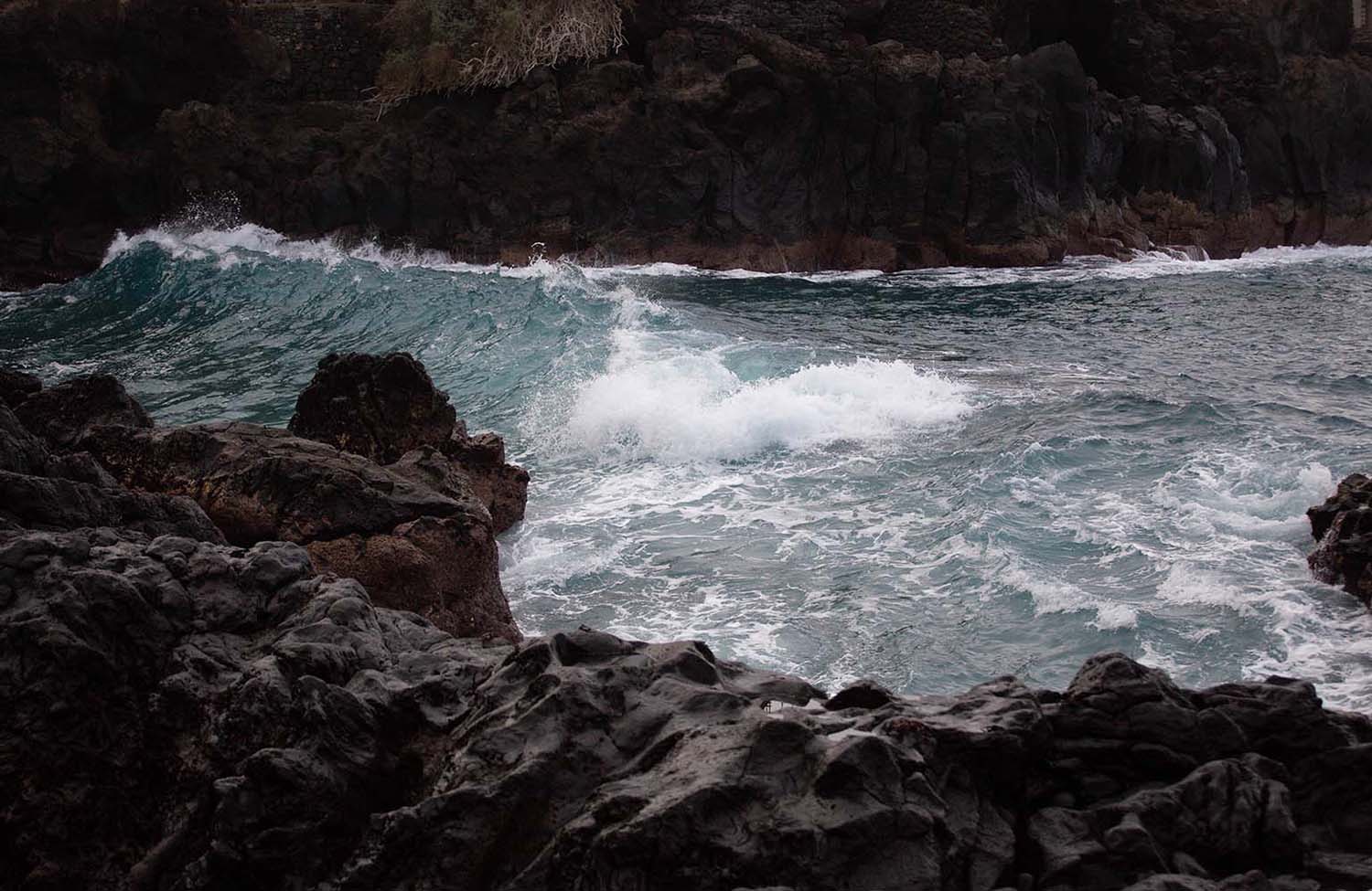 Meer und Krabben in Puerto de la Cruz