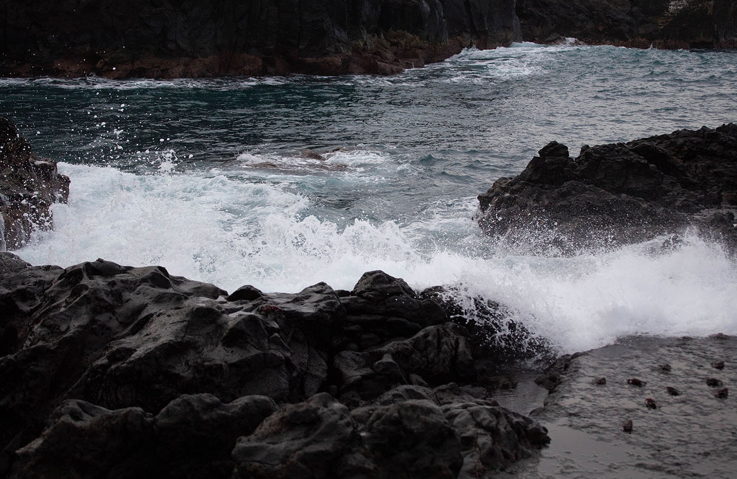 Meer und Krabben in Puerto de la Cruz