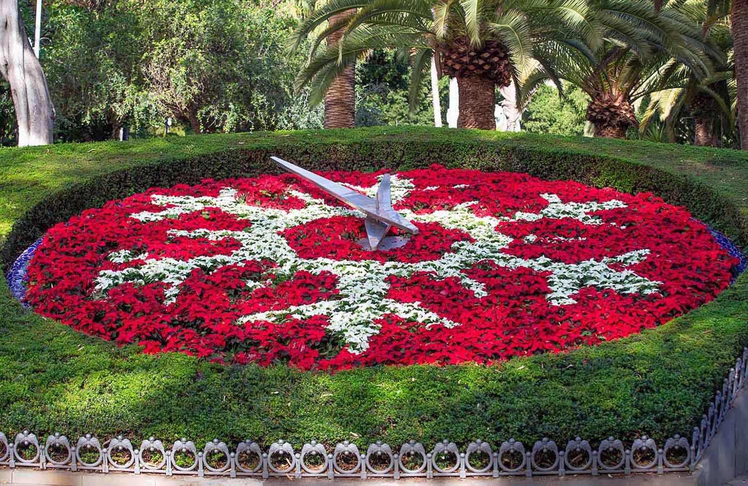 Blumenuhr im Parque García Sanabria