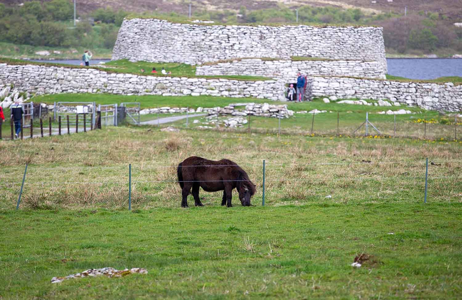 Shetlandpony Clickimin Broch